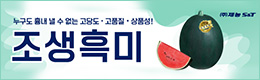 배너