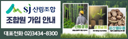 배너