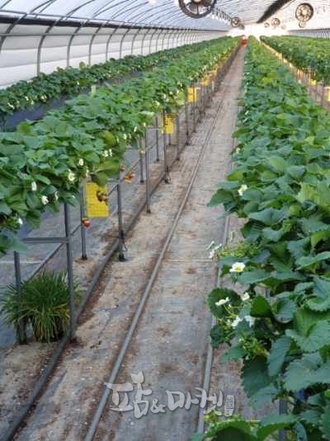 ‘천적 활용’으로 안정적인 농산물 생산