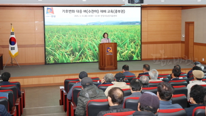안성시, 기후변화대응 벼(‘수찬미’) 재배 교육