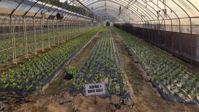 농촌진흥청, ‘여과액비 순환농업’ 시범단지 구축