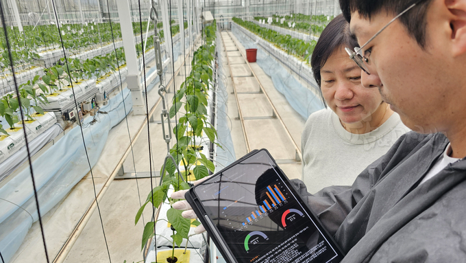 전남농기원, AI 기반 환경제어로 중소농 스마트농업 전환 본격화