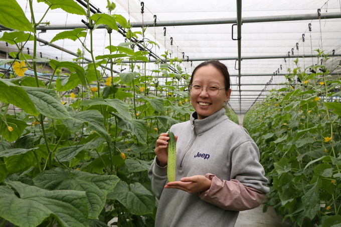 안성 이가원 대표, GAP 오이 수경재배 - 뉴스 썸네일 이미지