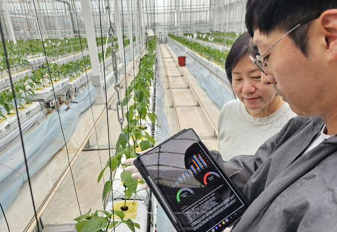 전남농기원, AI 기반 환경제어로 중소농 스마트농업 전환 본격화 - 뉴스 썸네일 이미지